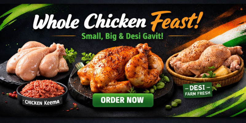 ChatGPT Image Feb 23, 2026, 10_59_44 AM_r2_c1_processed_by_imagy